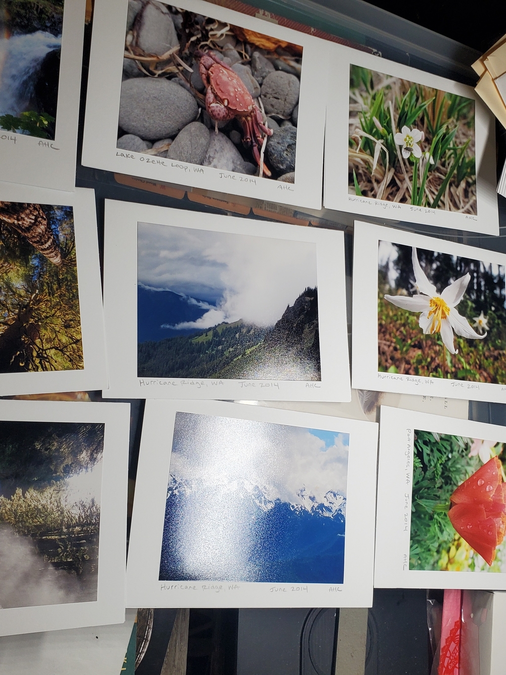 Handmade Photo Note Cards Set of 10 Blank Greeting Cards Envelopes WA Landscapes